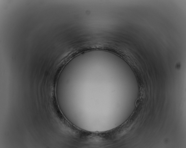 X0000090440648200707131031