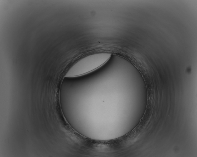 X0000090440649200707131031