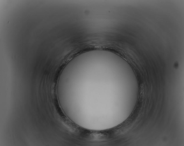 X0000090440650200707131031