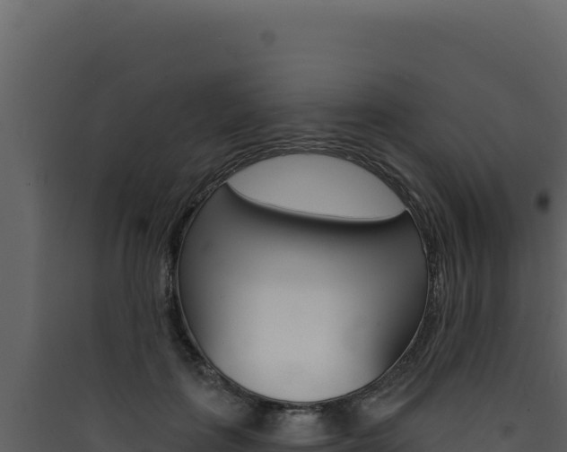 X0000090440651200707131031