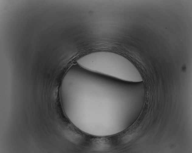 X0000090440652200707131031