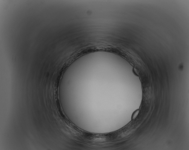 X0000090440653200707131031