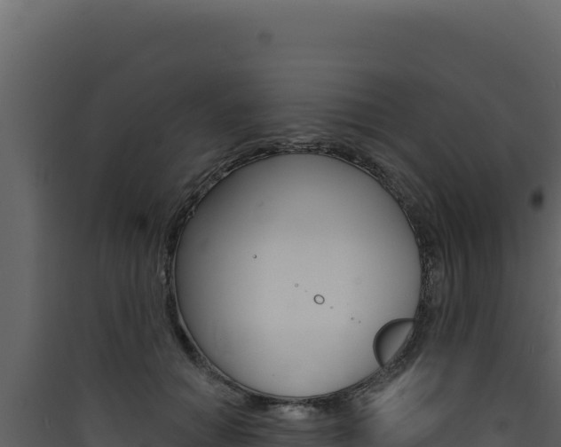 X0000090440654200707131031