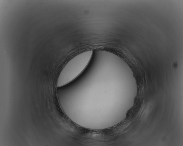 X0000090440655200707131031