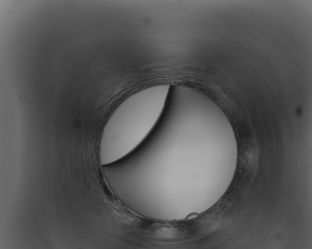 X0000090440658200707131031