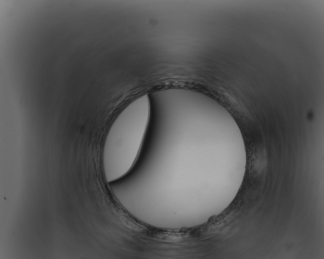 X0000090440661200707131031
