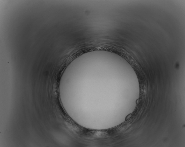 X0000090440663200707131031