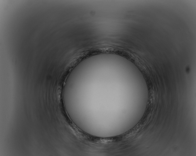 X0000090440664200707131031