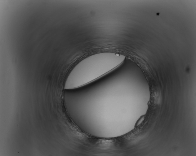 X0000090440665200707131031