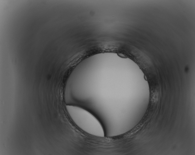 X0000090440666200707131031