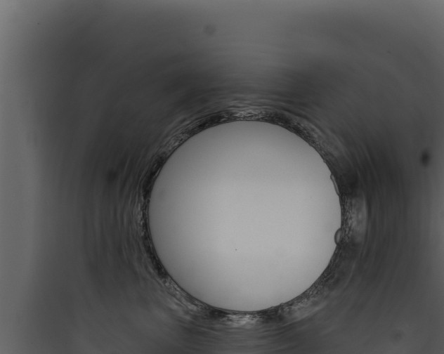 X0000090440667200707131031