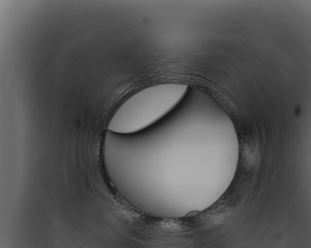 X0000090440668200707131031