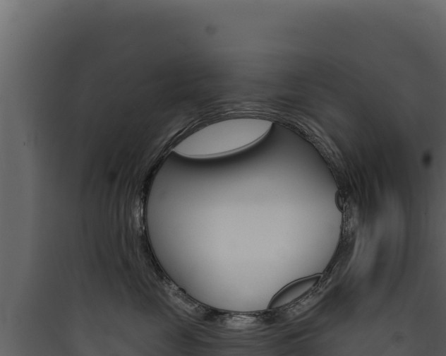 X0000090440669200707131031