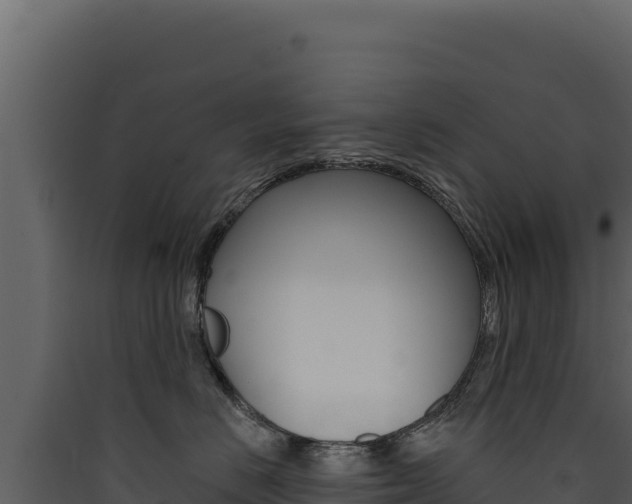 X0000090440670200707131031
