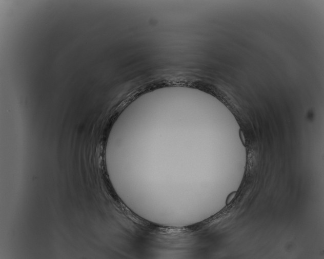 X0000090440671200707131031
