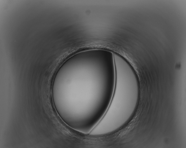X0000090440673200707131031