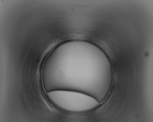 X0000090440674200707131031