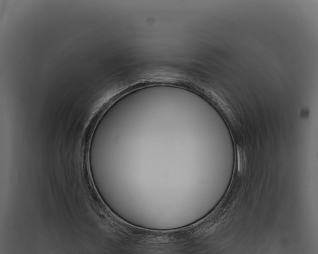 X0000090440675200707131031
