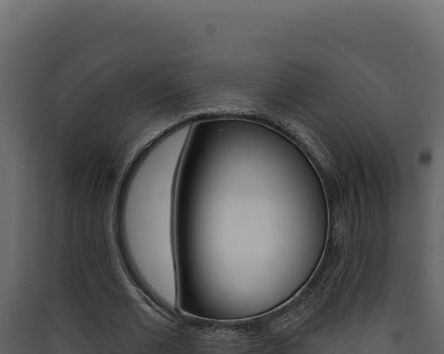X0000090440677200707131031