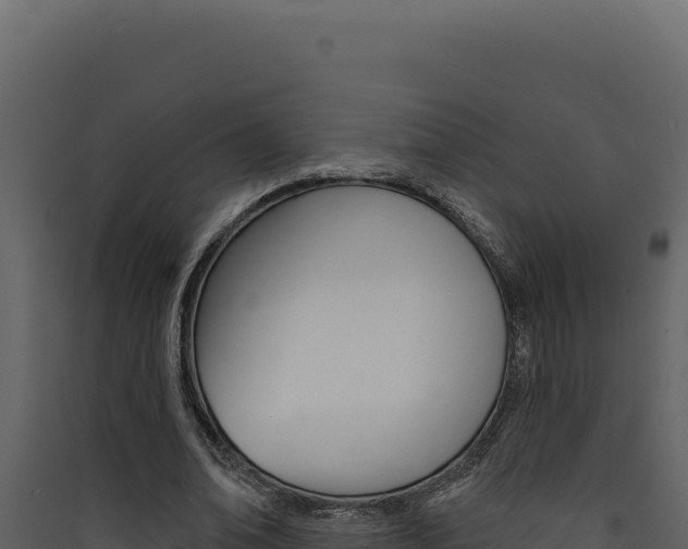 X0000090440678200707131031