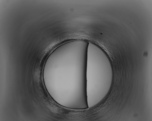 X0000090440679200707131031