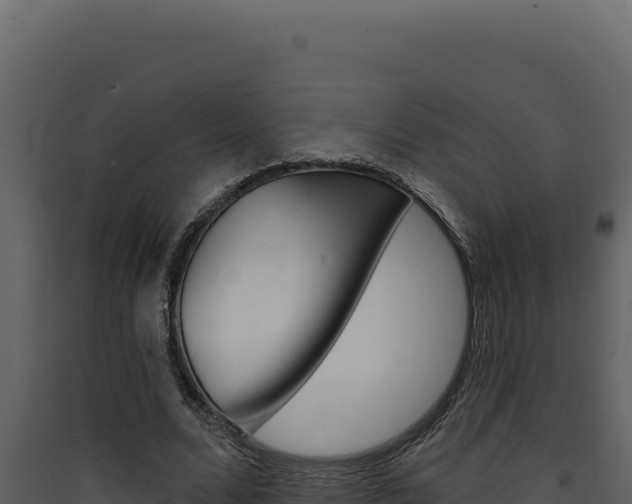 X0000090440680200707131031