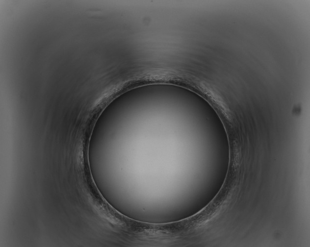 X0000090440681200707131031