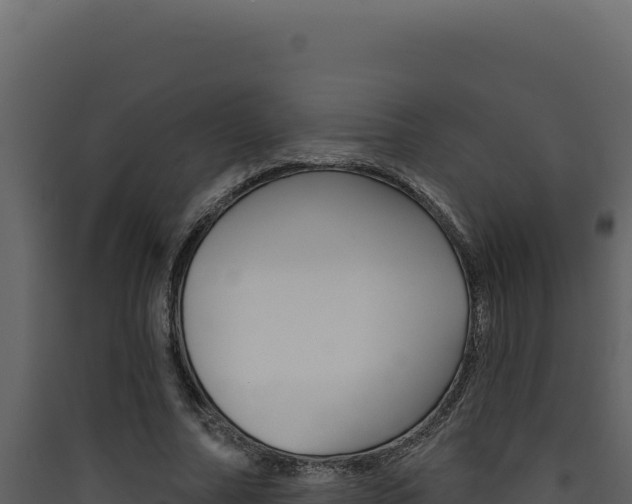 X0000090440682200707131031