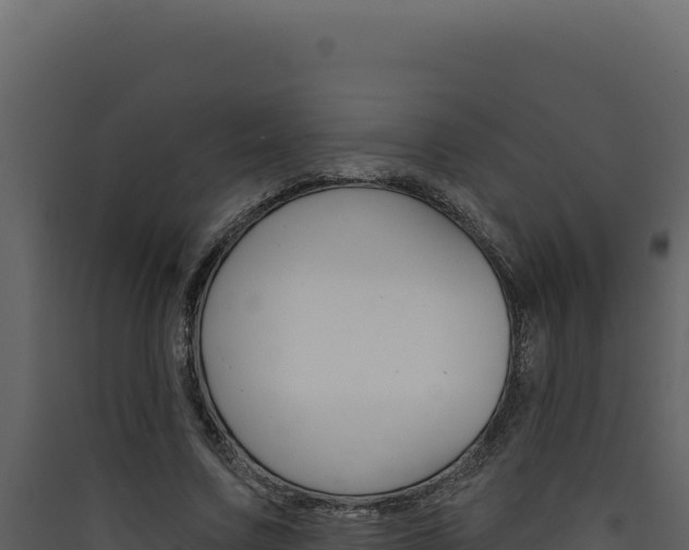 X0000090440683200707131030