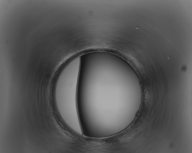 X0000090440684200707131030