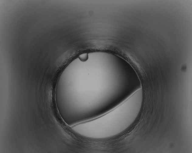 X0000090440685200707131030