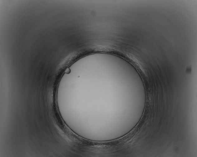 X0000090440686200707131030