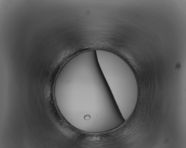 X0000090440687200707131030