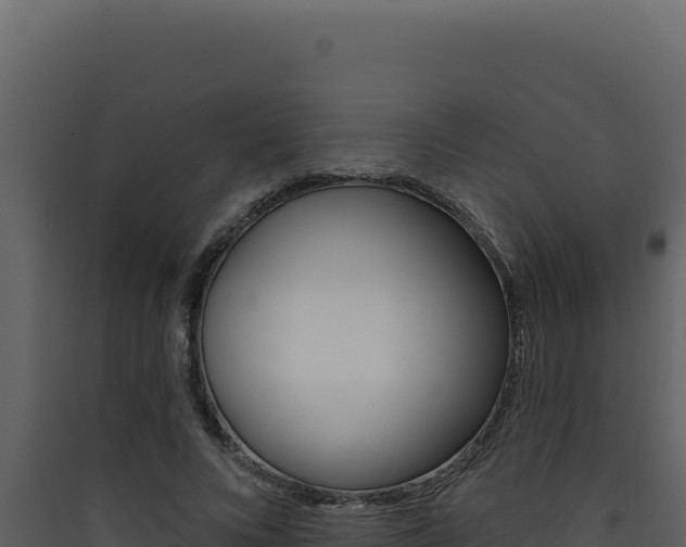 X0000090440688200707131030