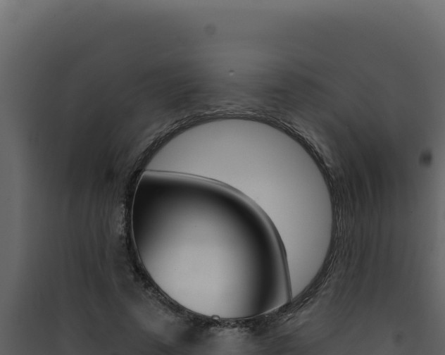 X0000090440689200707131030