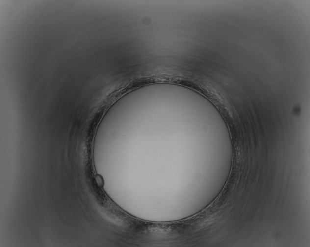 X0000090440690200707131030