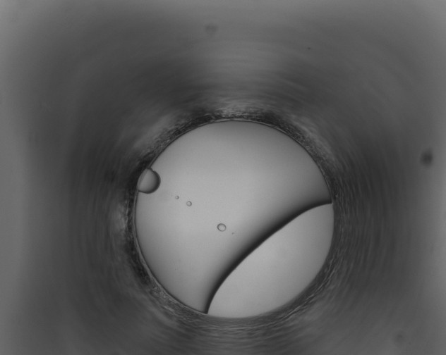 X0000090440691200707131030