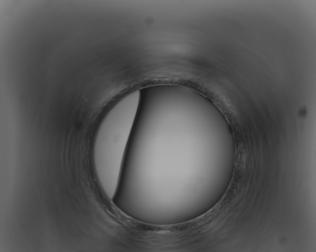 X0000090440692200707131030