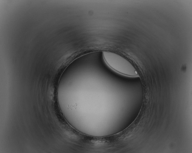 X0000090440693200707131030