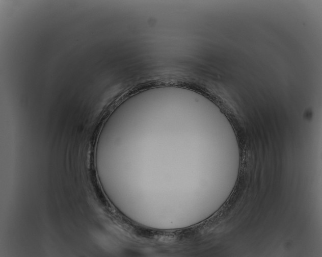 X0000090440694200707131030
