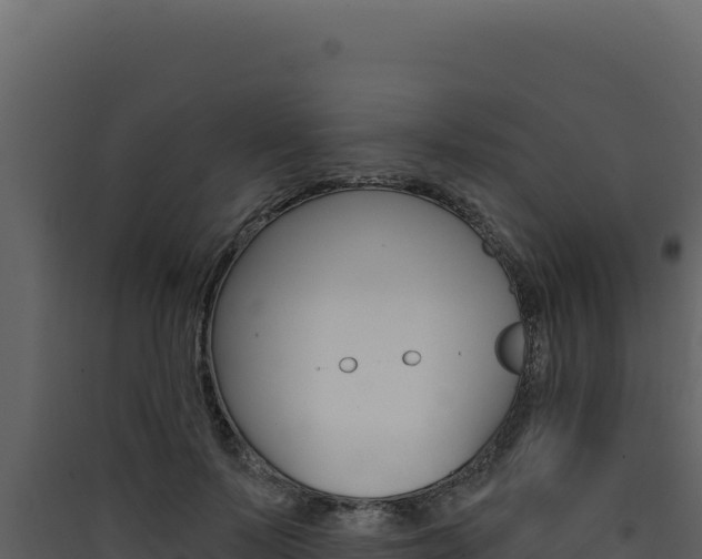 X0000090440695200707131030