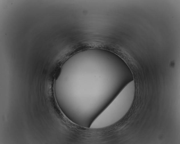 X0000090440696200707131030