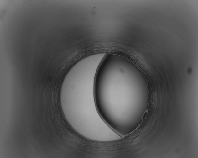 X0000090440697200707131030