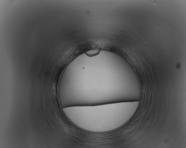 X0000090440699200707131030