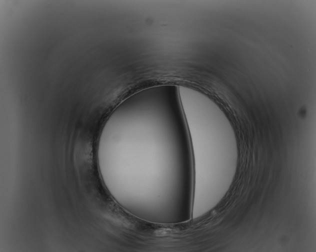 X0000090440700200707131030