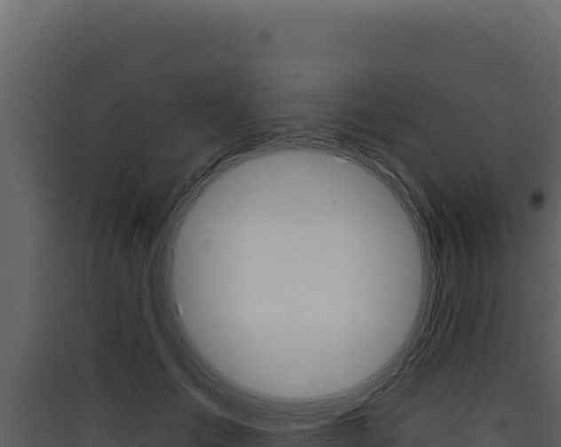 X0000090440701200707131030