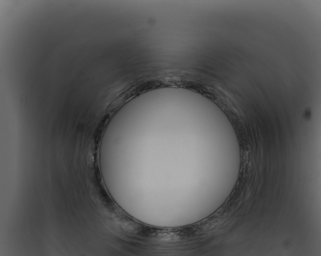 X0000090440702200707131030