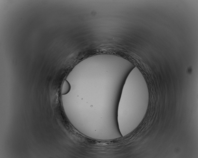 X0000090440703200707131030