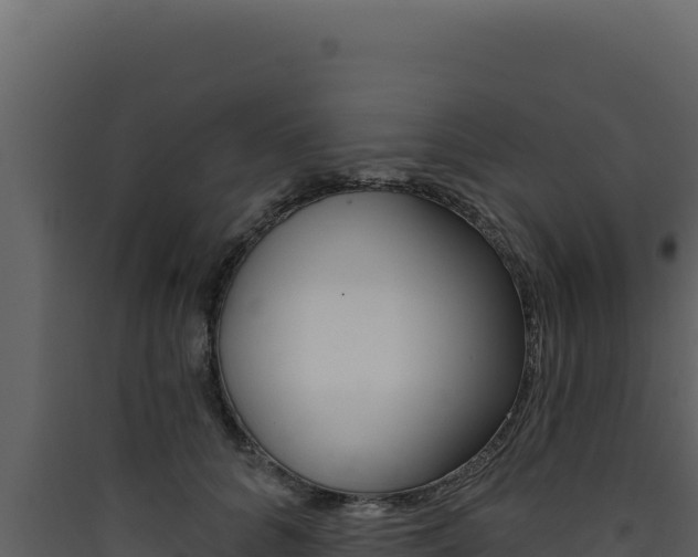 X0000090440704200707131030