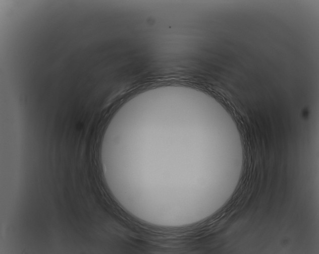 X0000090440705200707131030